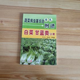 蔬菜病虫害诊治原色图谱：白菜 甘蓝类分册