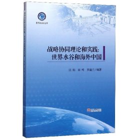 战略协同理论和实践：世界水谷和海外中国/世界水谷文库