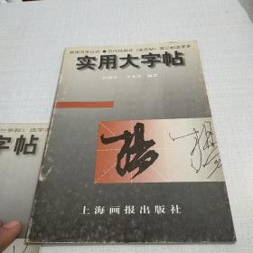 实用大字帖：五代杨凝式《韭花帖》选字本