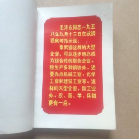 武钢炼铁厂革委会纪念册