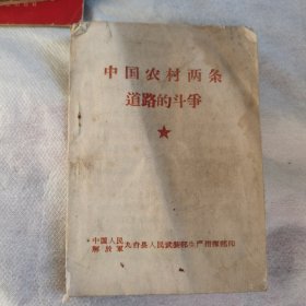 中国农村两条道路的斗争