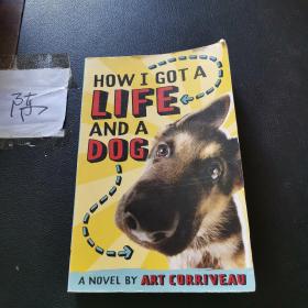 HOW I GOT A LIFE AND A DOG