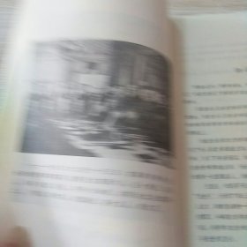 一个无尚荣光的女人