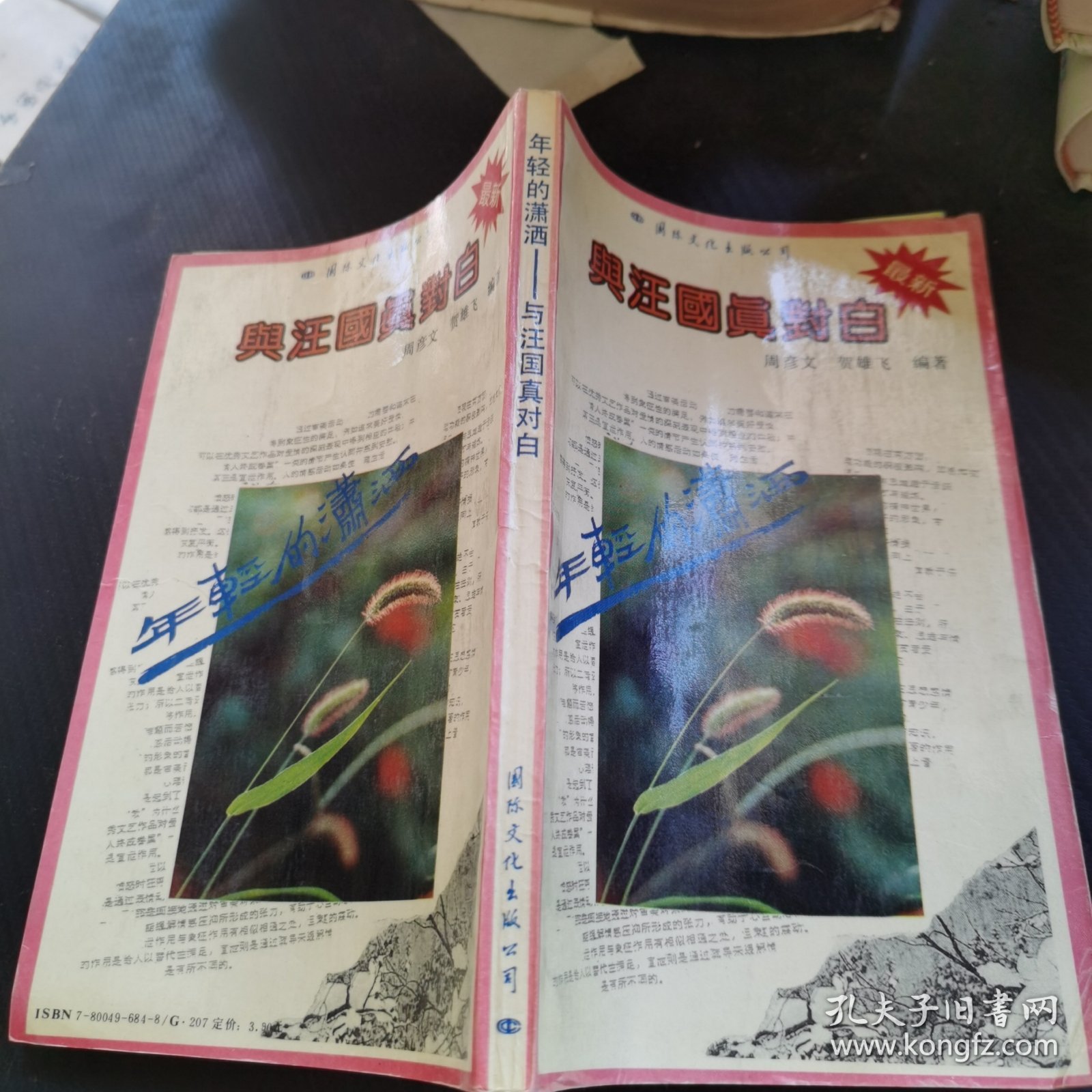 年轻的潇洒：与汪国真对白
