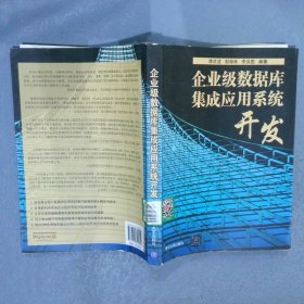 企业级数据库集成应用系统开发