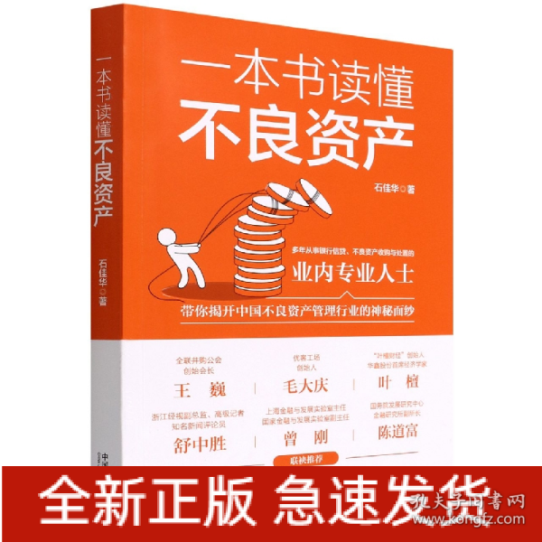 一本书读懂不良资产（王巍、毛大庆、叶檀、舒中胜、曾刚、陈道富联合推荐）