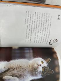 在故宫遇见喵：御猫寻踪地图