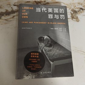 当代美国的罪与罚（普利策奖获奖作品，《纽约时报》、GQ年度图书。崔娃诚挚推荐）