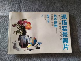 教学对话·现场实景照片：色彩静物（花卉文体用品3)《教学对话》编委会9787548007050普通图书/艺术