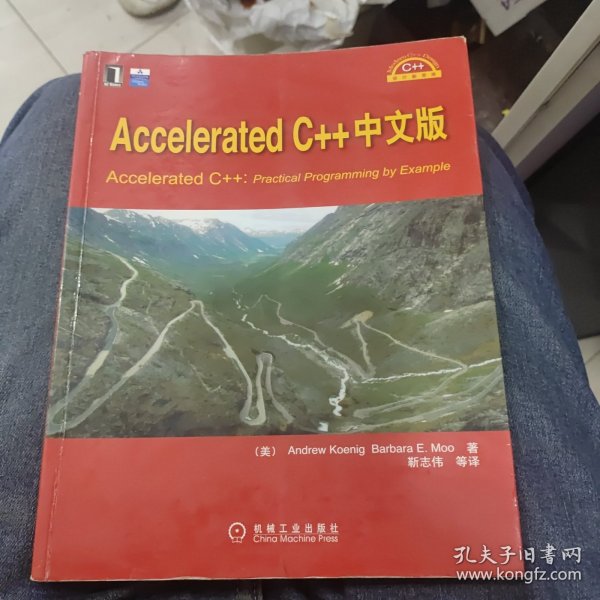 Accelerated  C++中文版