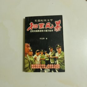 扫黑风暴：沈阳刘涌黑势力覆灭始末