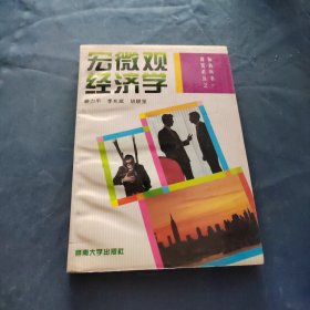 宏微觀經(jīng)濟(jì)學(xué)