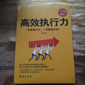 高效执行力（没有执行力，一切都是空谈！一部打造超强战斗力团队的宝典）