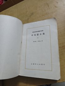 陀思妥耶夫斯基作品集中短篇小说 二