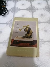 菊花盆供 明信片，（16张全）上海人民美术出版。1958年