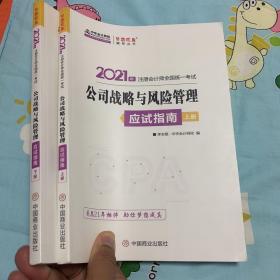 2021年注册会计师应试指南-公司战略与风险管理（上下册） 梦想成真 官方教材辅导书