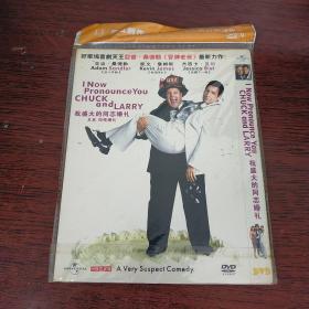 DVD 我盛大的同志婚礼  简装1碟