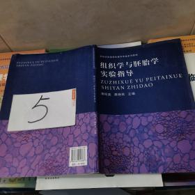 组织学与胚胎学实验指导/新世纪普通高校医学专业系列教材