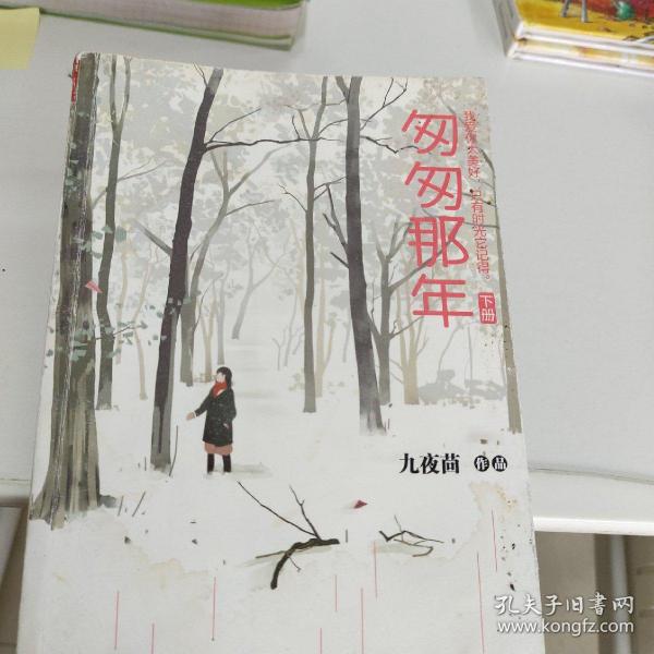 匆匆那年