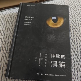 神秘的黑猫