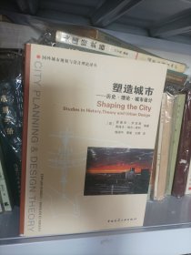 塑造城市：历史、理论、城市设计