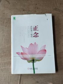 正念：此刻是一枝花