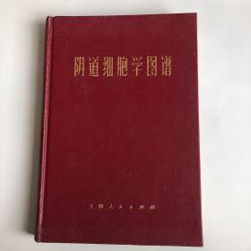 阴道细胞学图谱