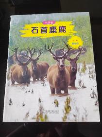 石首糜鹿，2023年，8月15号上，