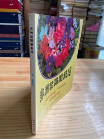 非洲紫罗兰栽培