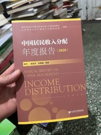 中国居民收入分配年度报告（2020）