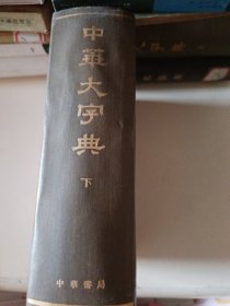中华大字典(下)
