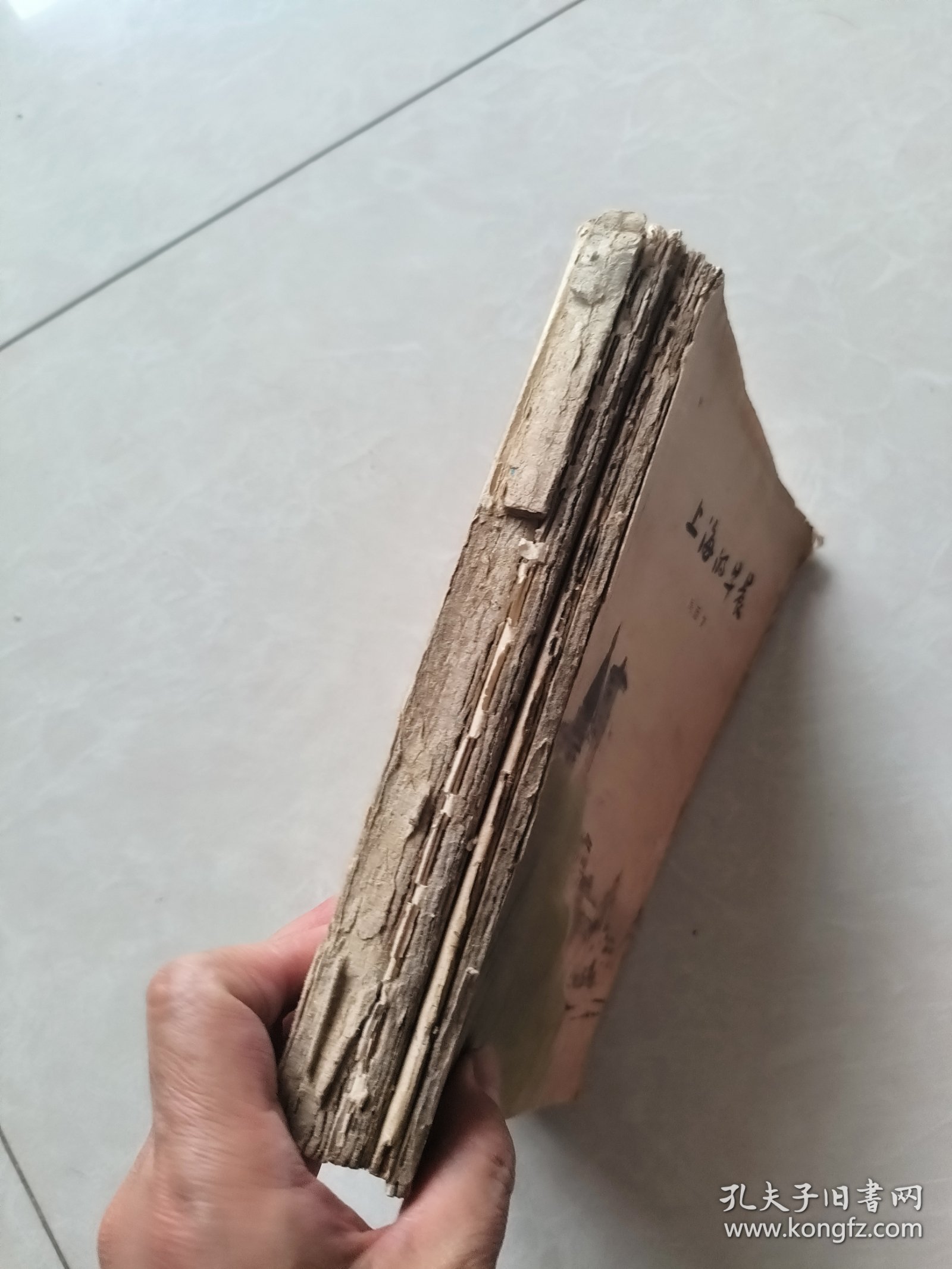 点击查看原图 上海的早晨(第二部)1962年一版一印