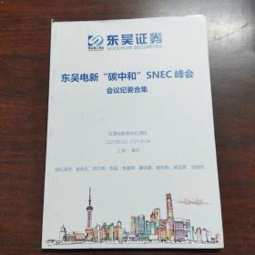 东吴电新“碳中和”SNEC峰会会议纪要合集