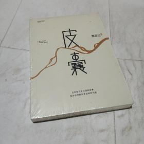 皮囊(平装正版库存书)