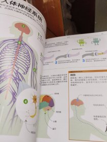 dk图解科学技术与工程DK儿童STEM创新思维培养图解科学dk图书dk图解科学小学思维训练