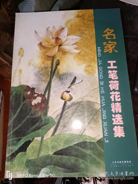 名家工笔荷花精选集