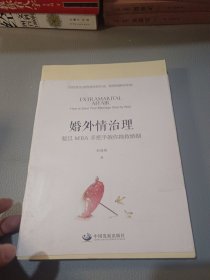 婚外情治理