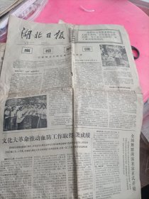 原版老报纸1976湖北日报