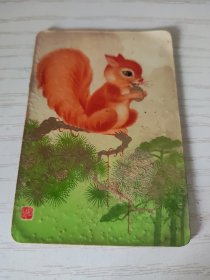 【老年历卡】1975年 《松鼠》年历画片一枚 中国轻工业品进出口公司山东省工艺品分公司