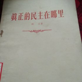 真正的民主在哪里