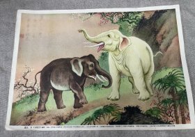 象戈湘岚作1956年上海画片出版社