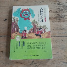 中国经典文学名著典藏本：大林和小林