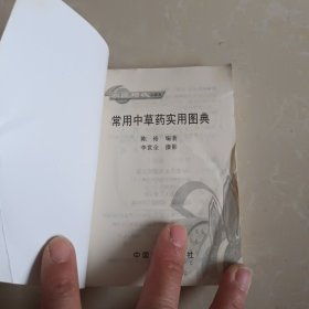 常用中草药实用图典——农民增收口袋书
