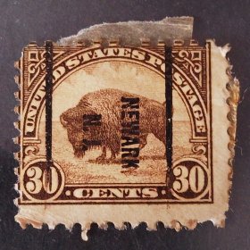 美国邮票 1923年普通邮票-野牛 预销票 1枚销