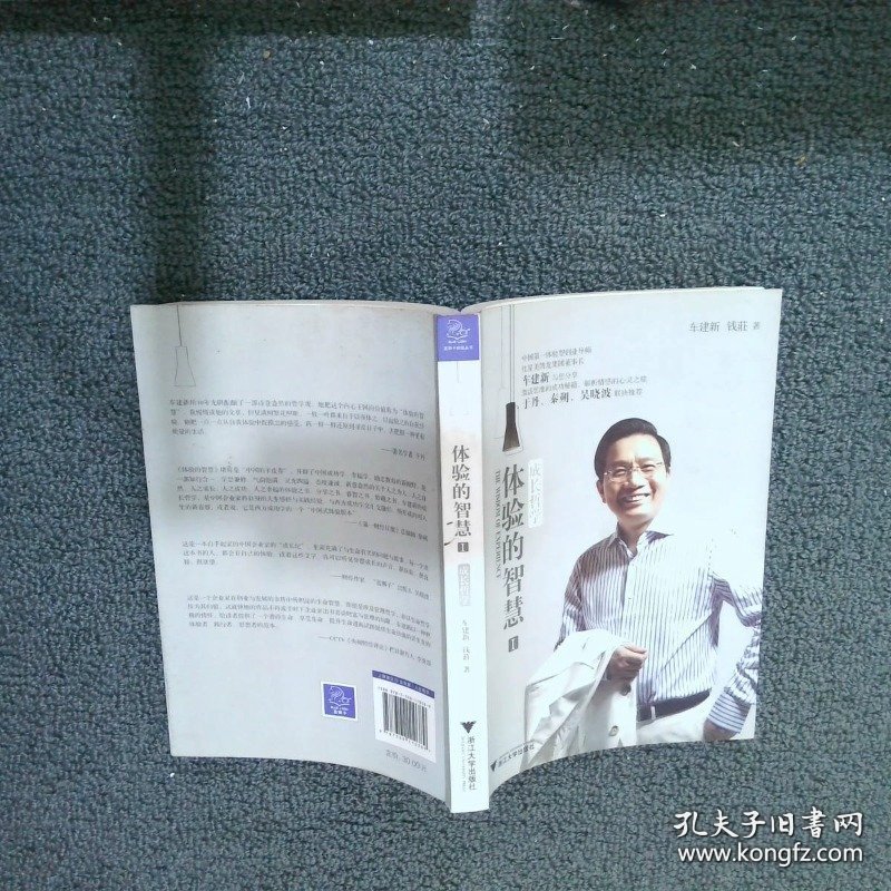 体验的智慧Ⅰ：成长哲学