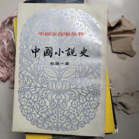 中国小说史  上册
