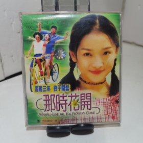 VCD 那时花开