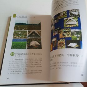 控制农业面源污染：减少农药用量防治蔬菜病虫实用技术指导手册