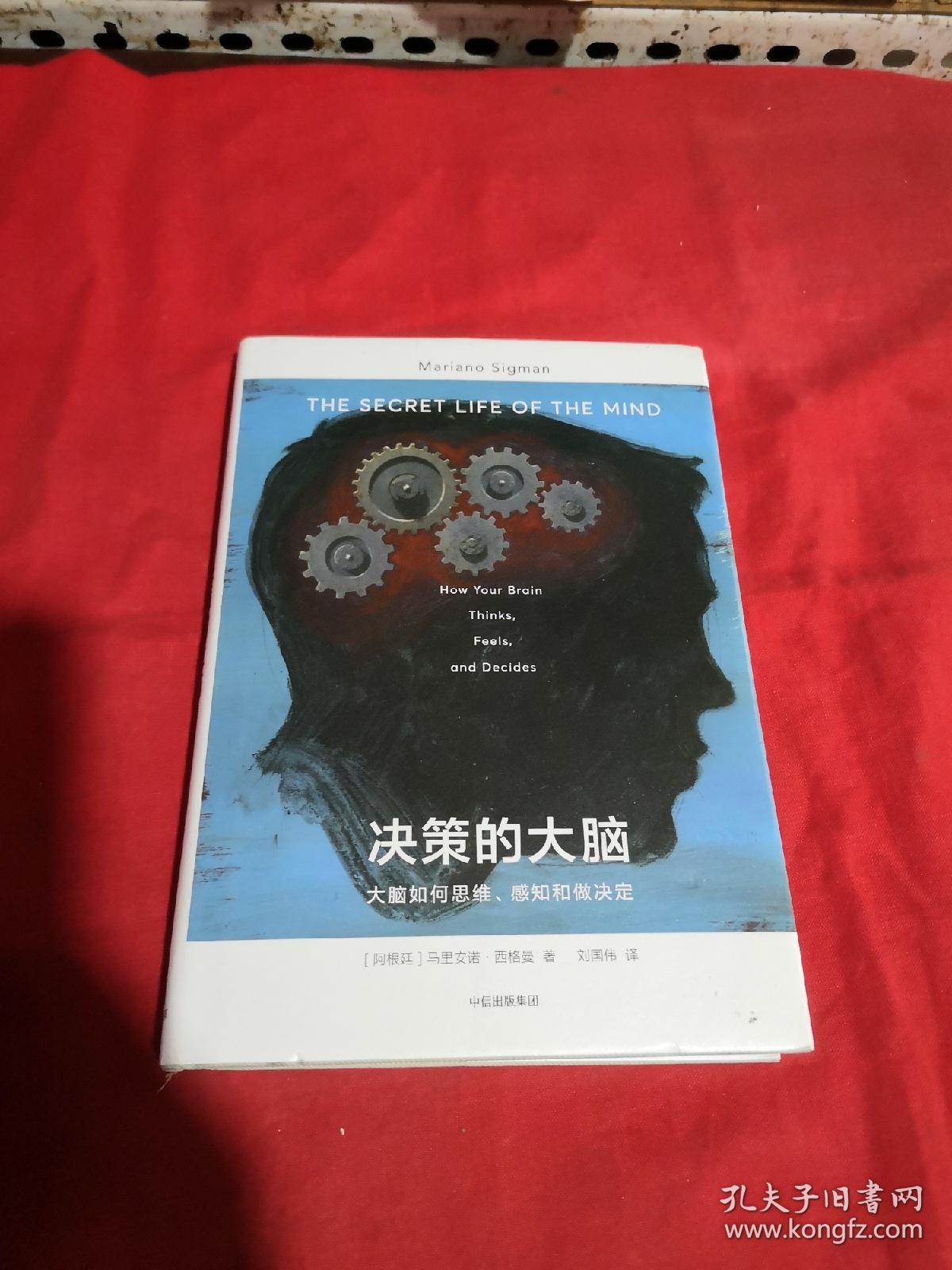 决策的大脑：大脑是如何思维、感知和做决定的