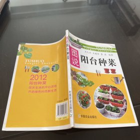 图说阳台种菜